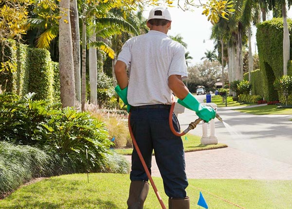 About Belden NE Pest Control